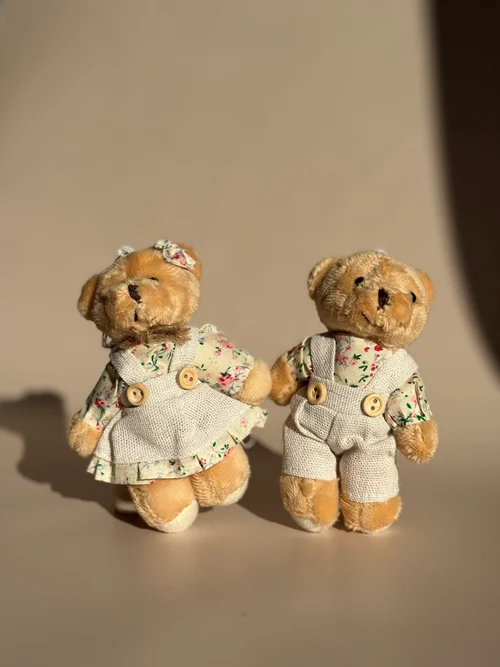 چارم و جا کلیدی خرس